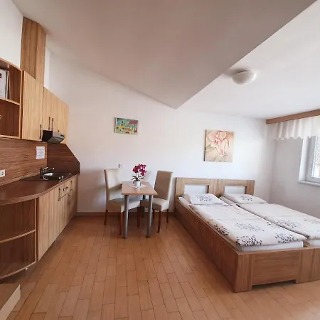 Novak Novo Mesto