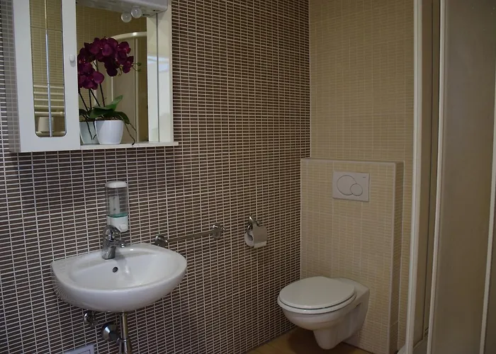 노박 * 노보메스토